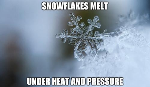 beautiful snowflake meme 2