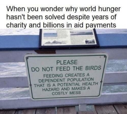 M feed