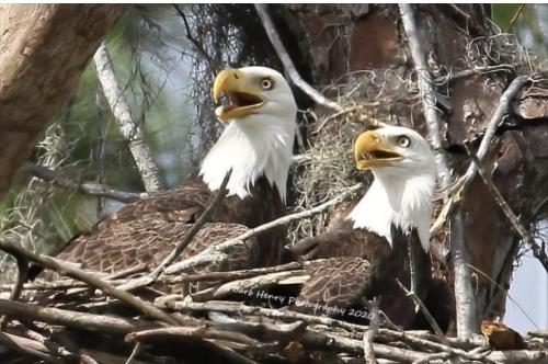 7C98D87F-FC81-4F42-BBDE-2E9CD4A464C9