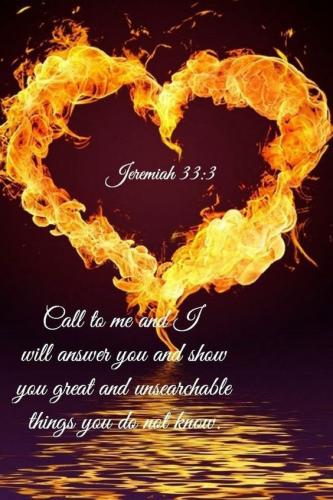 dba7afcf-54f8-4f93-9ea0-e141014d870f