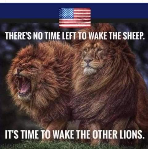 FB_IMG_1642982154019