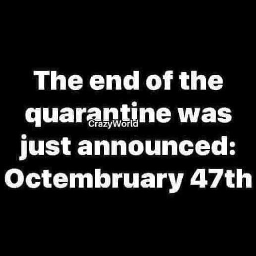 Quaranteen - End has been announced