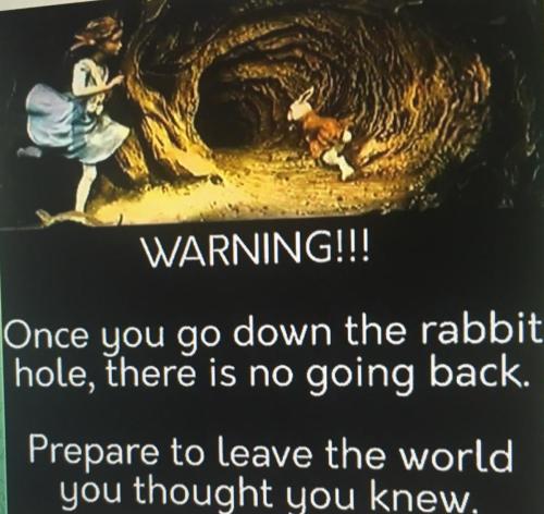 Screenshot_20220125-163350_DuckDuckGo