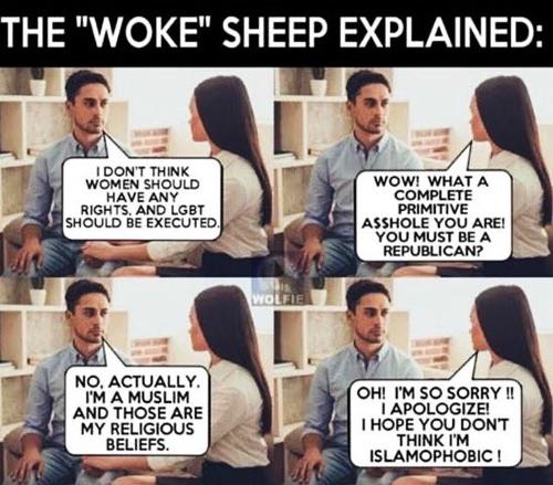 Woke sheep
