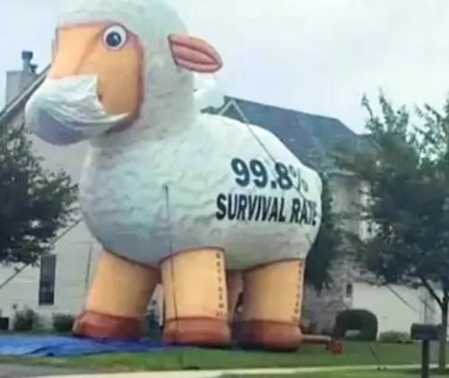 Screenshot_20220103-145523_YouTube