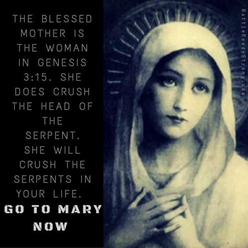 FB_IMG_1643340168567