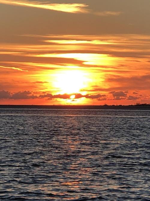 9D6DE862-2344-4442-8AD7-AA73D0DB83B6