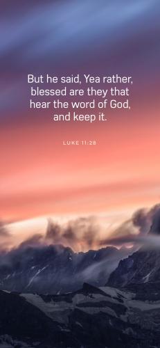 4BE69758-3DA5-4272-8E1A-DFE93C2BA353