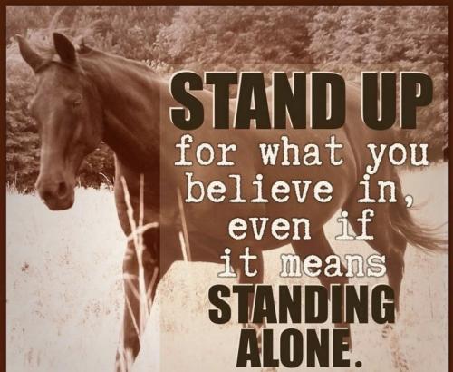 746B92D1-D1D5-44D0-8BFB-B48AE192F540