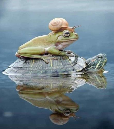 96634053-BDBE-47C0-9DF7-719A14CE3A27