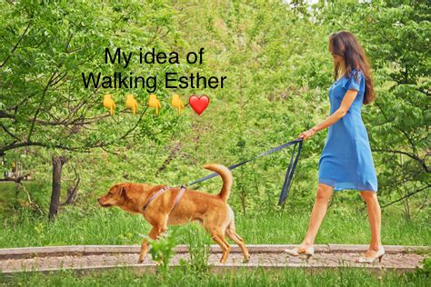 DEAC08C8-8748-4D79-8CD5-646850363865