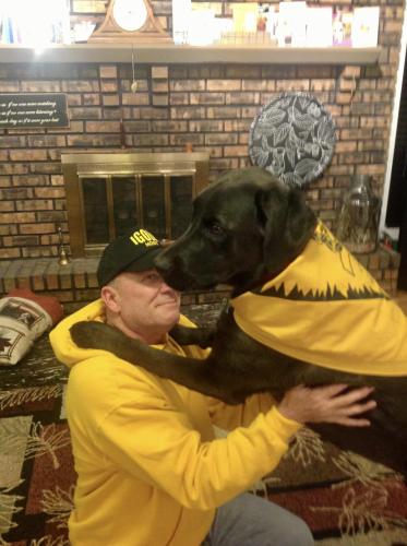 IGOLD PUP
