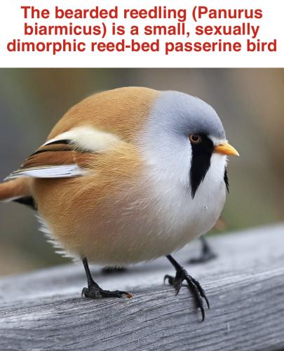 D9711961-A9B3-4679-AE5B-8B16CAA6F792