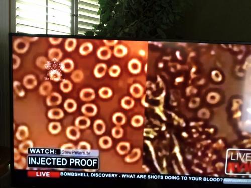 6D6C59DF-C5BF-4AFF-809D-9EBA381C62A9