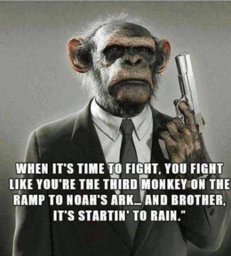 7BC0F1BA-A1F7-4453-812B-218414830025