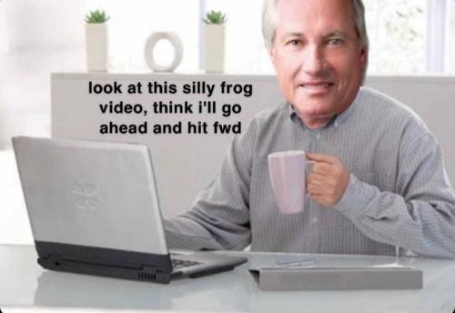 LinWoodForwardsFrog1