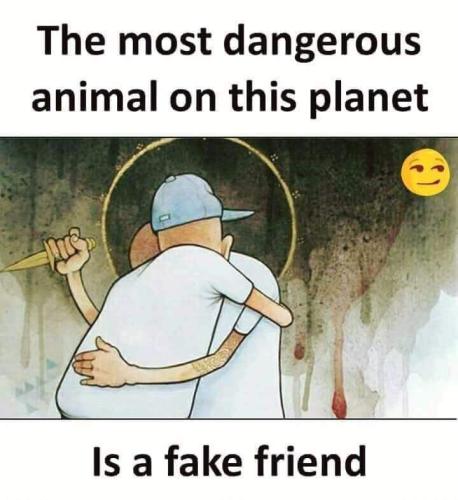 674EAE44-5BC4-4F39-858D-483E033797C4