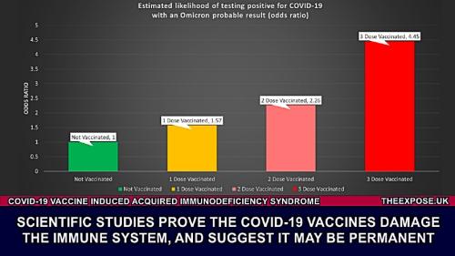 STUDIES-PROVE-COVID-VACCINES-DAMAGE-IMMUNE-SYSTEM