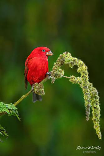 0EA92082-D8CF-4B1E-8206-B0F84DF19644