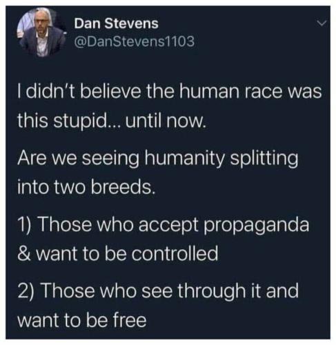 photo_2022-01-06_09-23-51