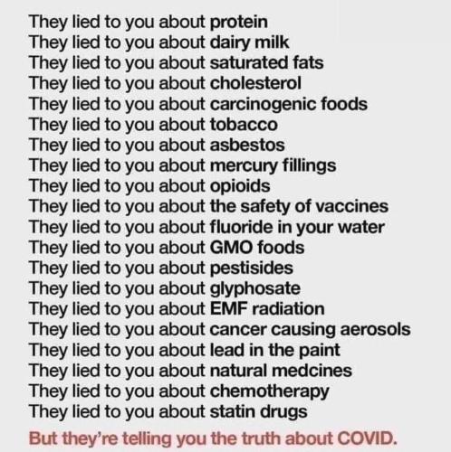 THEY LIED TO YOU