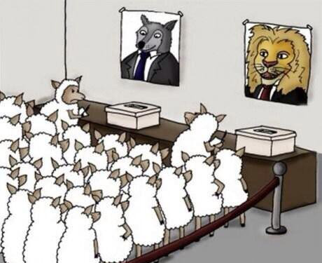 Tumblr_l_18818278723653