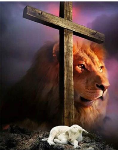 IMG_20220105_100627_698