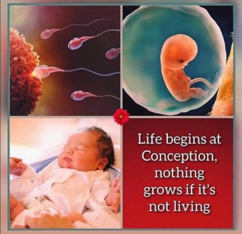 142EAA9A-EF6B-48D1-9123-B8654266D242