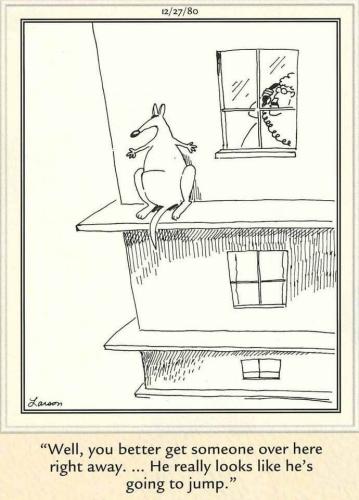 He is going to jump