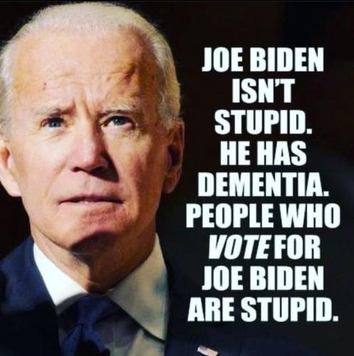 votedforjoebidenarestupid