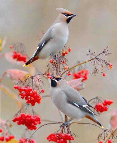 88340B7E-1443-4DCE-AE0E-AB03BBDB2B03