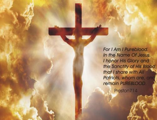 Resizer_16415239565650