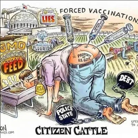 LIES MY GOVERNMENT TELLS ME - 2