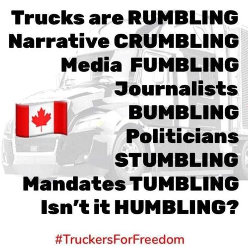 IMG_20220128_185300_434