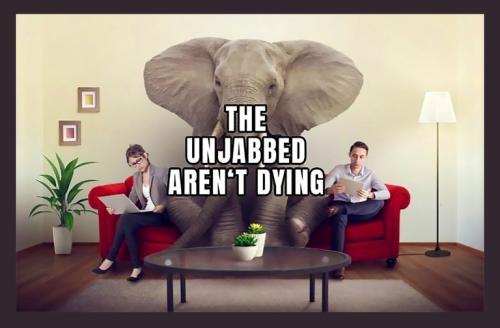 elephant in the room