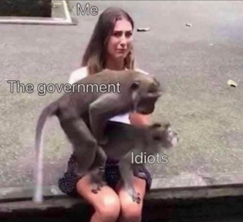 GovernmentIdiotsMe