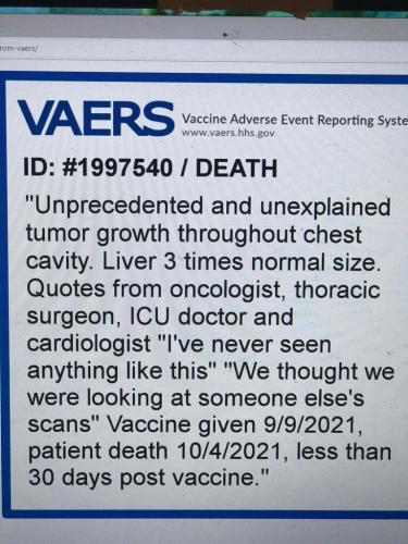 5F80F406-11B0-4ED2-A006-08DD8E9E776E