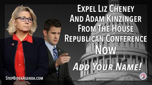 211221-Expel-Liz-1200x675-Twitter-Stop-Biden-Website-002
