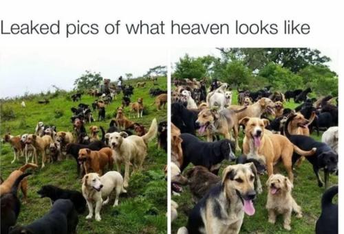 Screenshot_20220104-021313_SmartNews