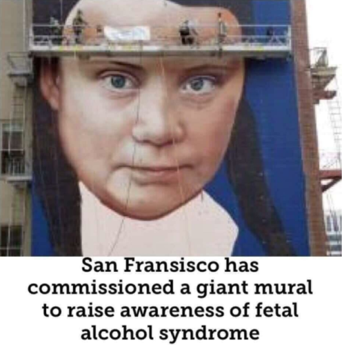 Meme492