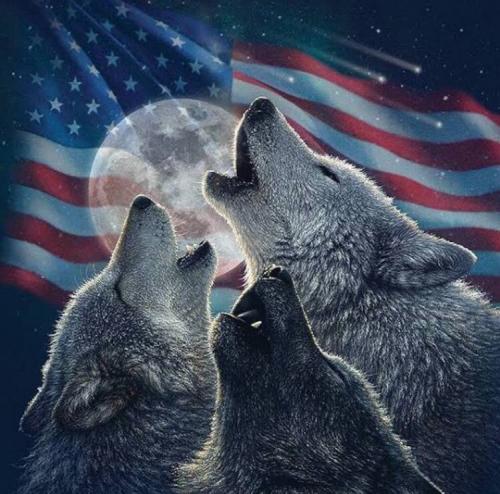 image_1641612523.912