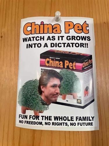 IMG_20220117_144359_373