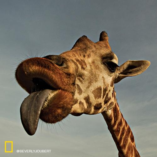 1BA6C2A1-B572-4C74-BC45-9806BD0143E3