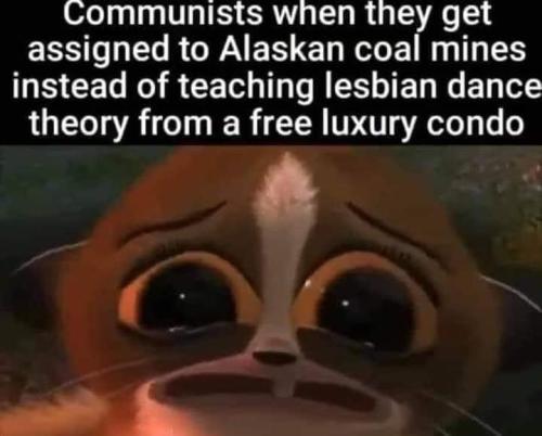 271241089_458310325867540_5274297223081536841_n