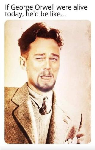 -5022046431501986231_121