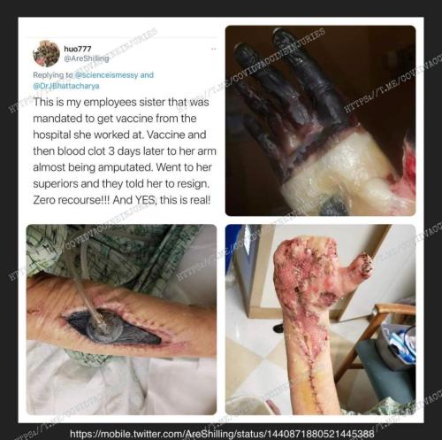 image_1642045075.464