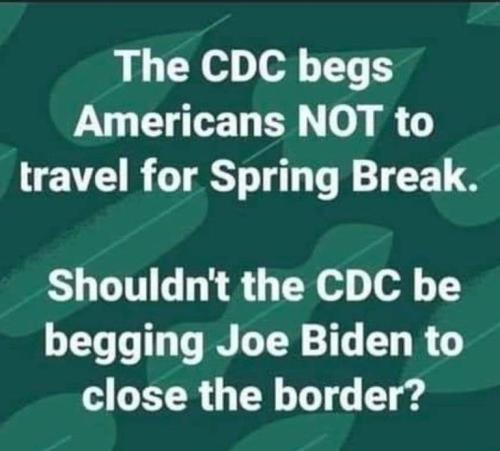 e2814eeea2e5241d771b7b913c88dd98_500x0