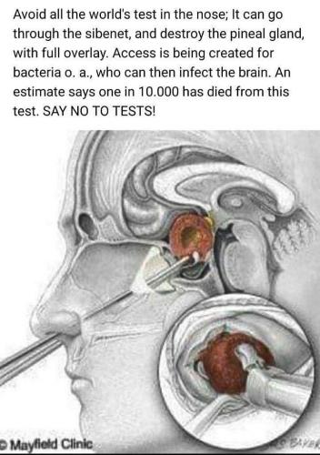 IMG_20220105_174249_365