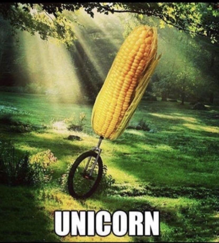Unicorn