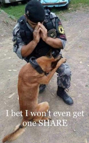 91aa7b40-1648-4eb5-8f4a-8b5db649f91bd